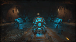 Pig Experiment