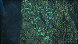 A Map Before Maps
