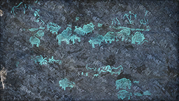 Environmental Memory